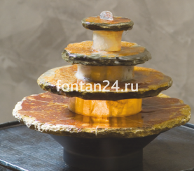20029 20029